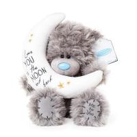9" Love You to The Moon Me to You Bear Extra Image 2 Preview